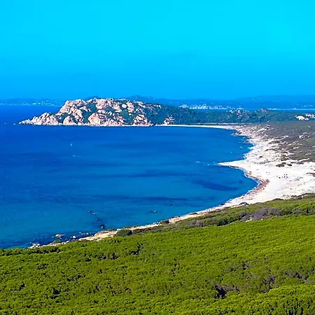 Baia Dei Mirti Rena Majore